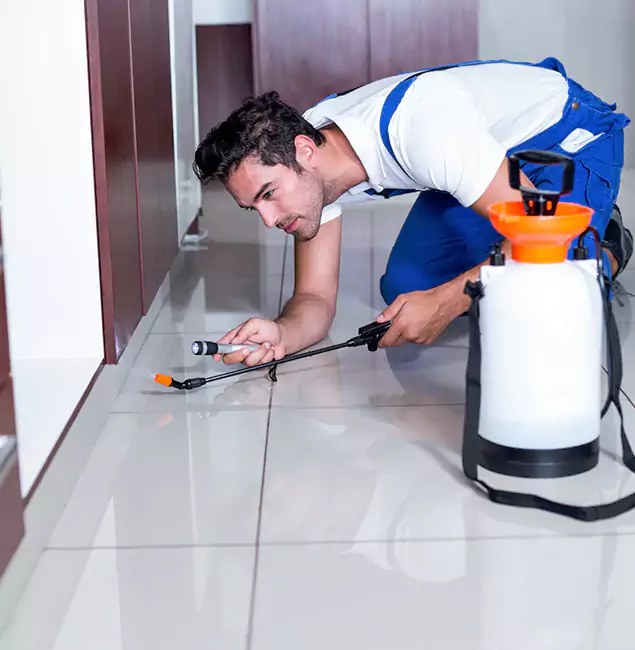 Why Duluth Quality Pest Control Is the Proven Choice in Duluth, GA?