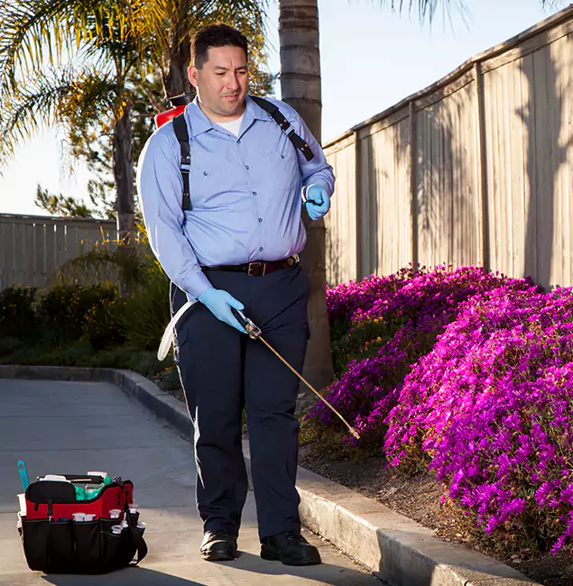 Why Choose Duluth Quality Pest Control in Duluth, GA?