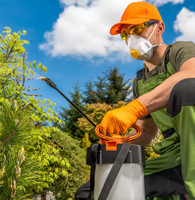 Why Choose Duluth Quality Pest Control for Outdoor Pest Control in Duluth, GA?