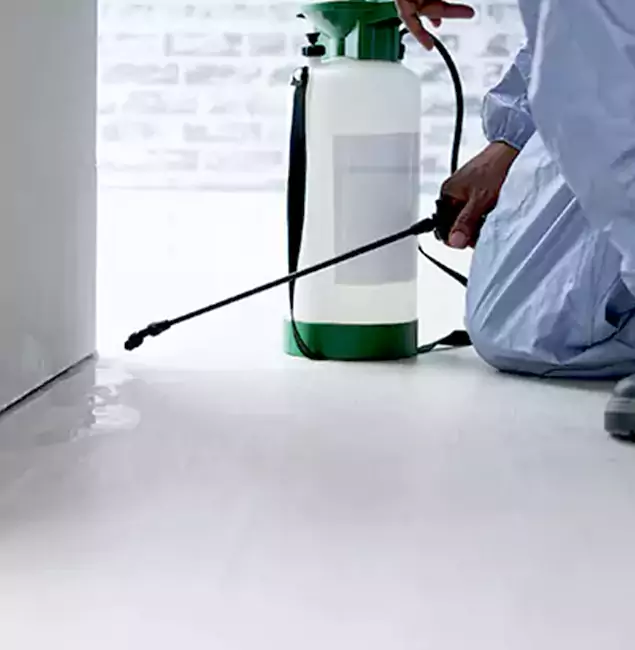 Why Choose Duluth Quality Pest Control for Rat Exterminator in Duluth, GA?