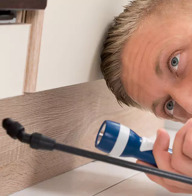 Why Choose Duluth Quality Pest Control for Rodent Exterminator in Duluth, GA?