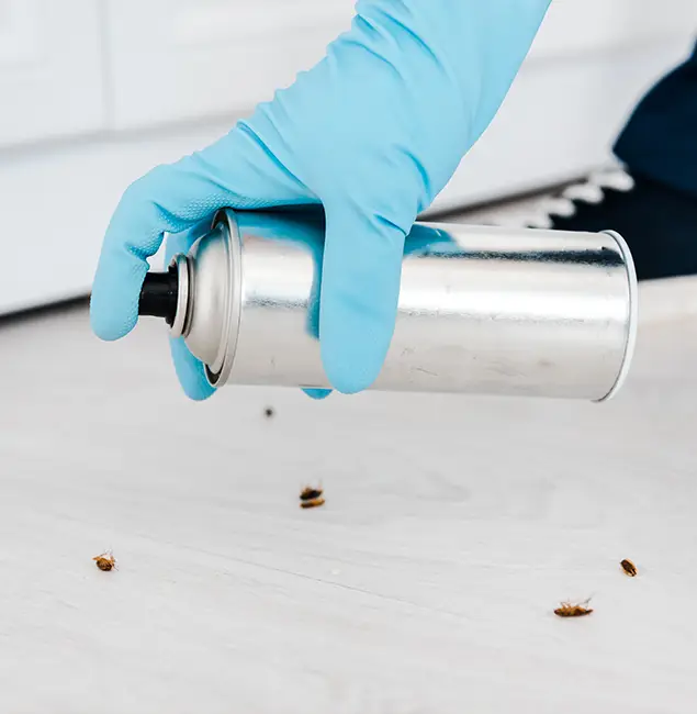 Why Choose Duluth Quality Pest Control for Safe Bed Bug Treatment in Duluth, GA?