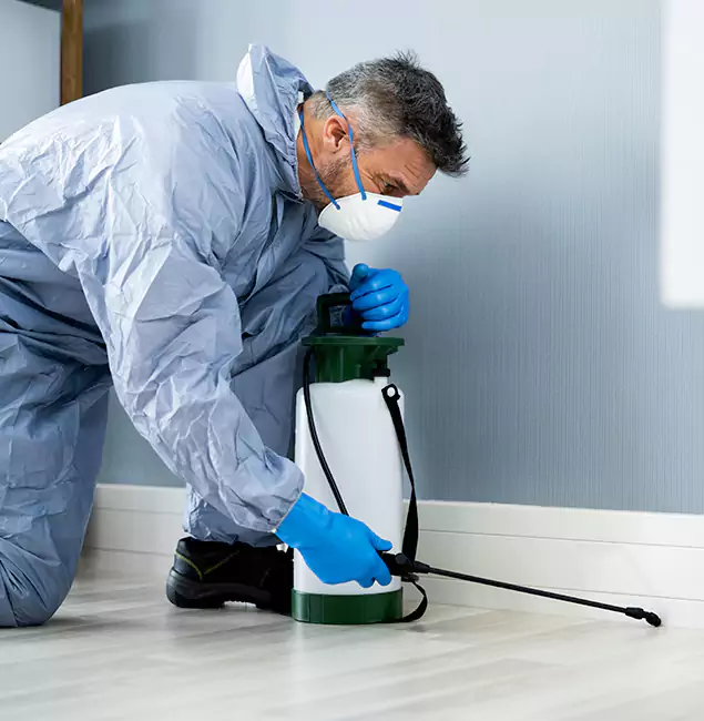 Why Choose Duluth Quality Pest Control for Subterranean Termites Treatment in Duluth, GA?