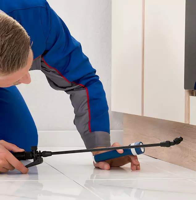Why Duluth Residents Choose Duluth Quality Pest Control to Get Rid of Sugar Ants?
