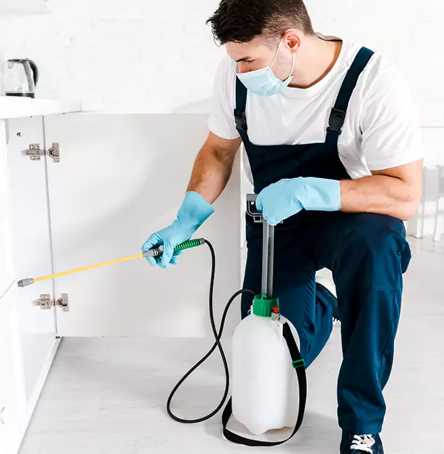 Why Choose Duluth Quality Pest Control for Termite Spot Treatment in Duluth, GA?