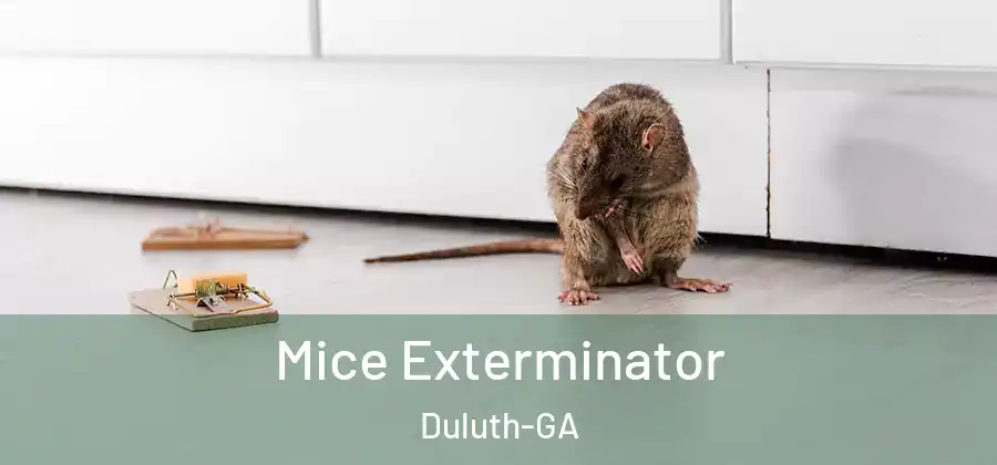 Mice Exterminator Duluth-GA