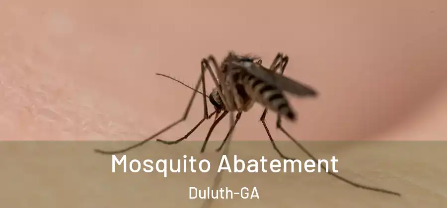 Mosquito Abatement Duluth-GA