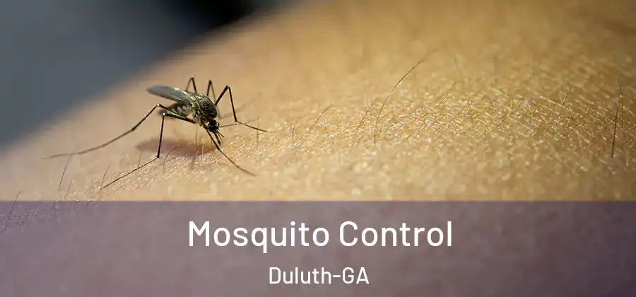 Mosquito Control Duluth-GA