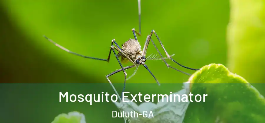 Mosquito Exterminator Duluth-GA