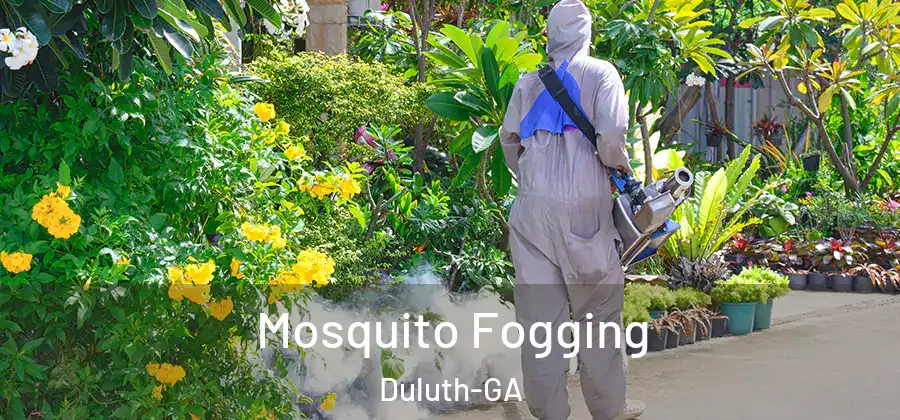 Mosquito Fogging Duluth-GA
