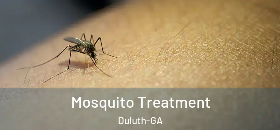 Mosquito Treatment Duluth-GA
