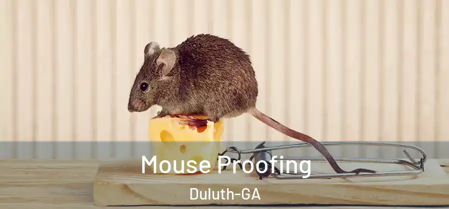 Mouse Proofing Duluth-GA