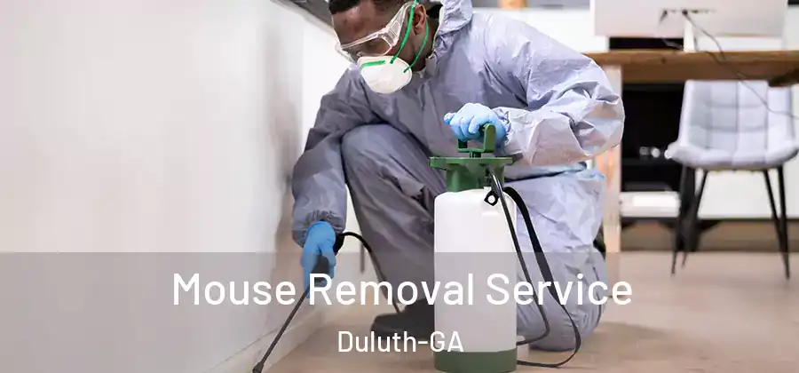 Mouse Removal Service Duluth-GA