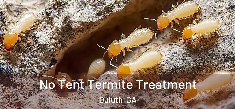  No Tent Termite Treatment Duluth-GA