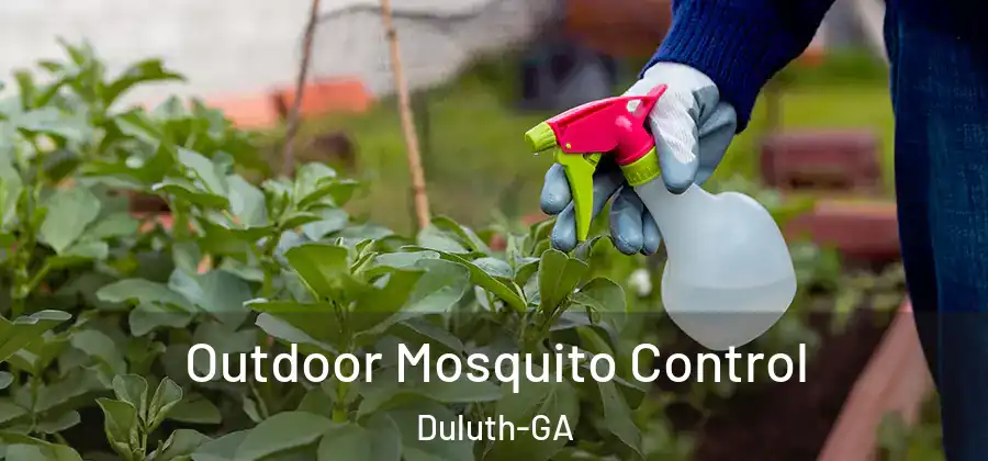 Outdoor Mosquito Control Duluth-GA