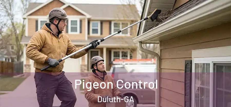 Pigeon Control Duluth-GA