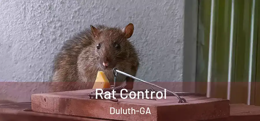 Rat Control Duluth-GA
