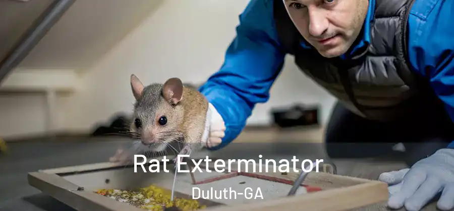 Rat Exterminator Duluth-GA