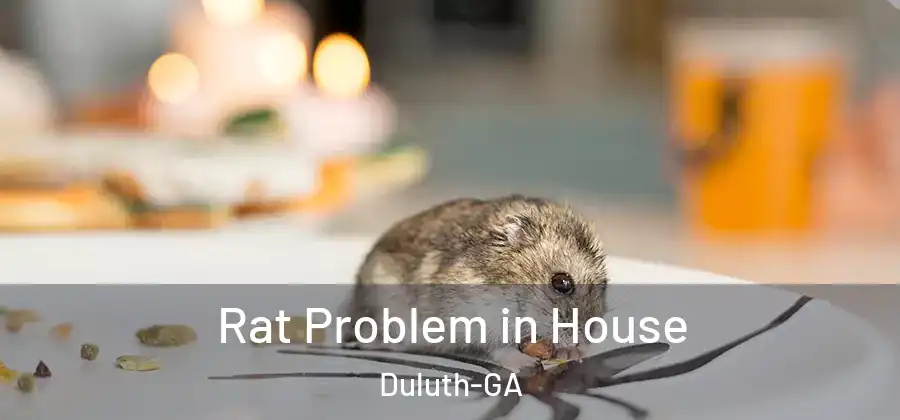 Rat Problem in House Duluth-GA