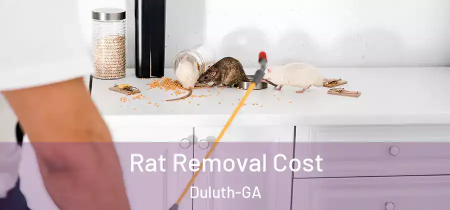 Rat Removal Cost Duluth-GA