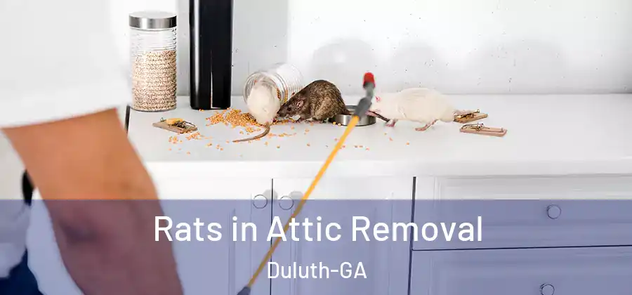 Rats in Attic Removal Duluth-GA