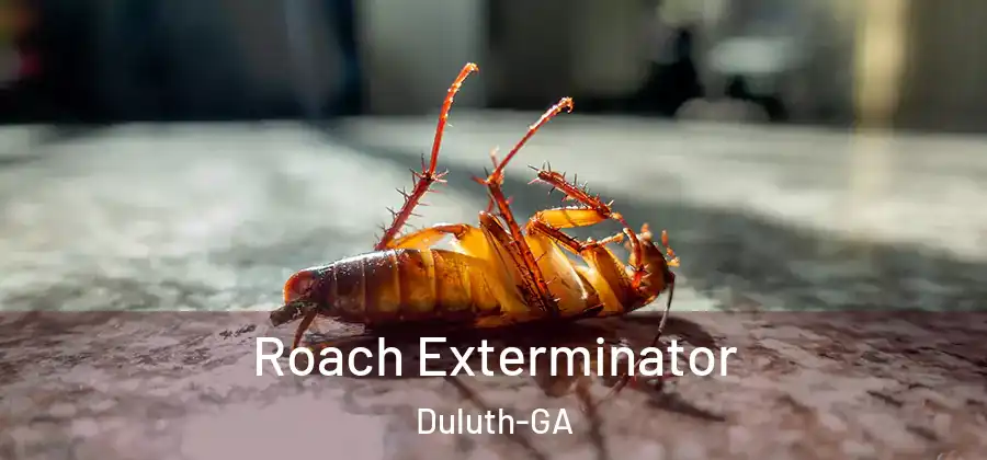 Roach Exterminator Duluth-GA