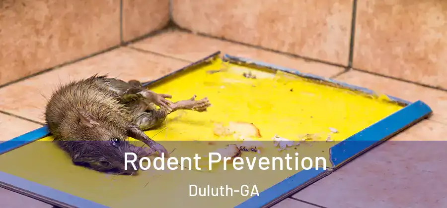  Rodent Prevention Duluth-GA