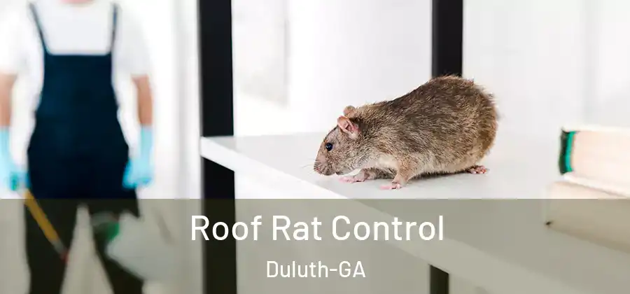 Roof Rat Control Duluth-GA
