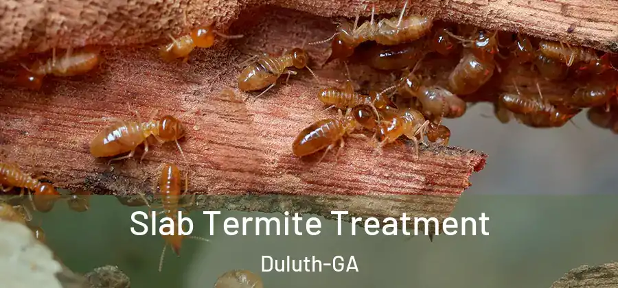 Slab Termite Treatment Duluth-GA