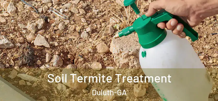 Soil Termite Treatment Duluth-GA
