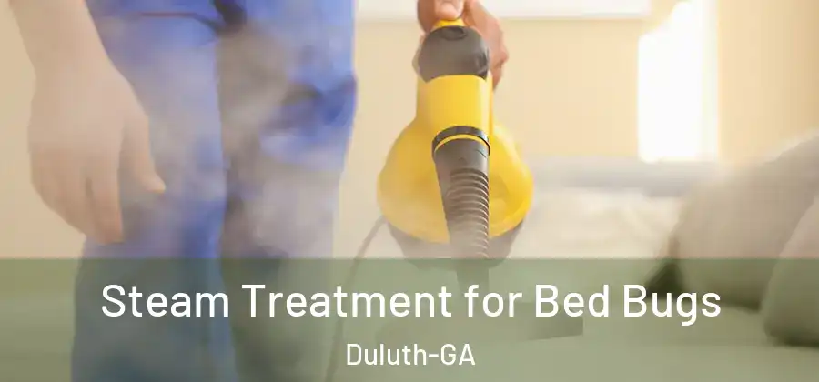  Steam Treatment for Bed Bugs Duluth-GA