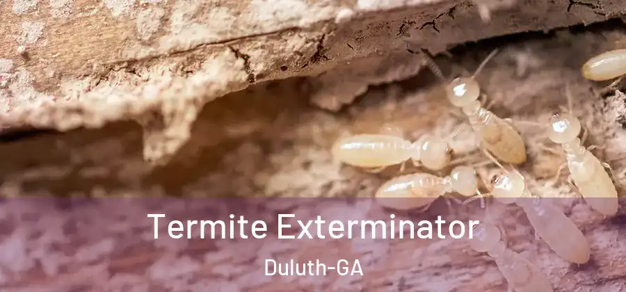 Termite Exterminator Duluth-GA