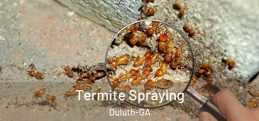 Termite Spraying Duluth-GA