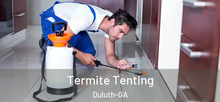 Termite Tenting Duluth-GA