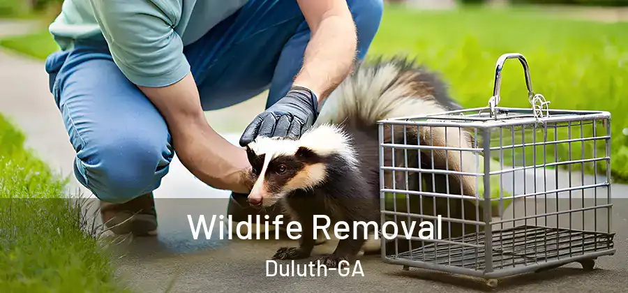 Wildlife Removal Duluth-GA