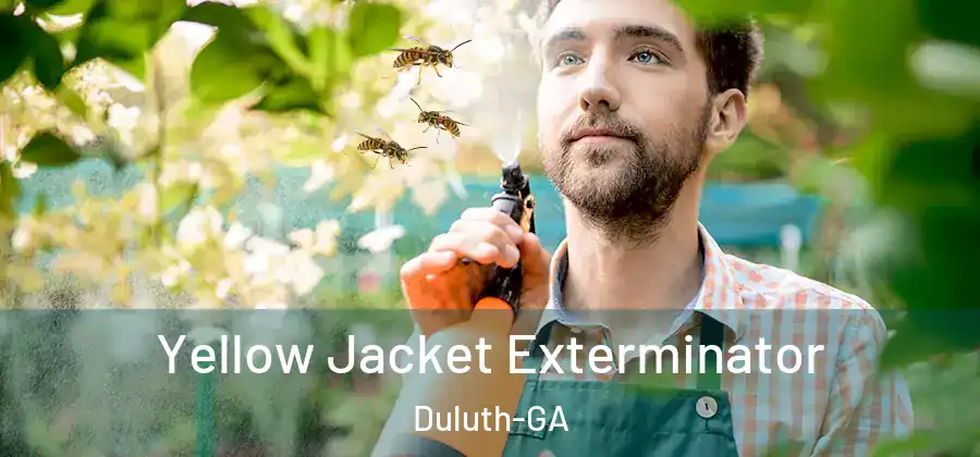 Yellow Jacket Exterminator Duluth-GA